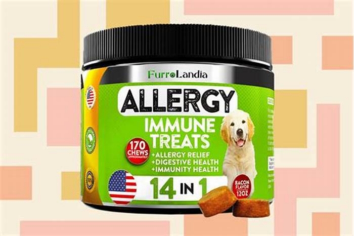 best allergy dog medicine