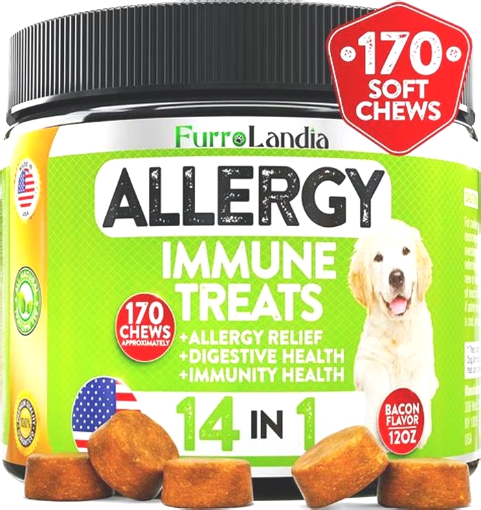 best australian dog food for allergies