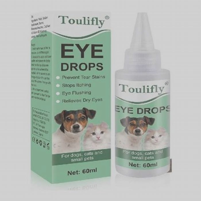 best dog allergy eye drops