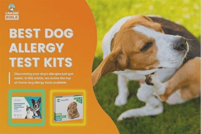 best dog allergy kit