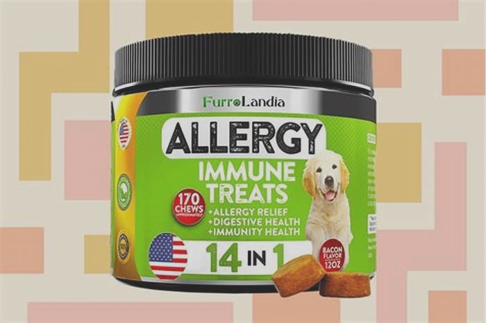 best dog allergy medication