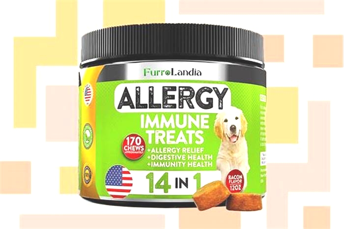 best dog allergy medicine reddit