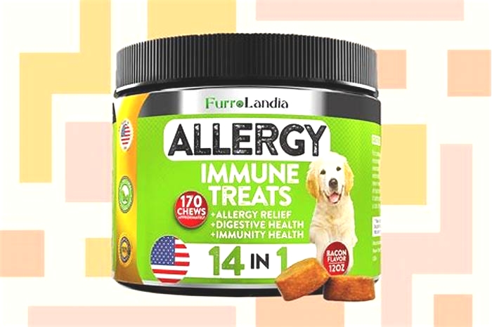 best dog allergy pills