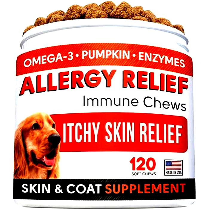 best dog allergy vitamins