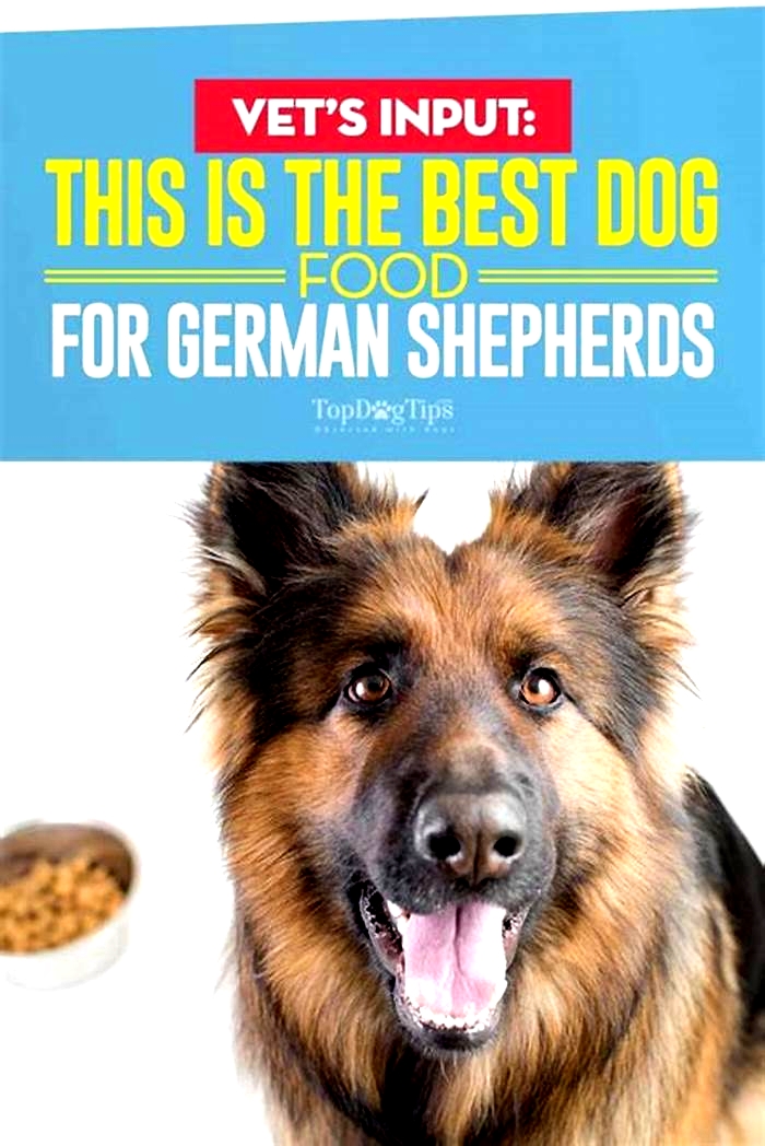 best dog food for 5 year old german shepherd