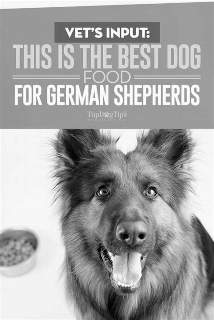 best dog food for 8 year old german shepherd