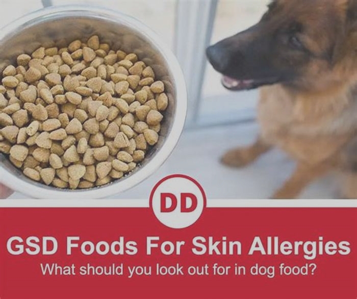 best dog food for a german shepherd with allergies