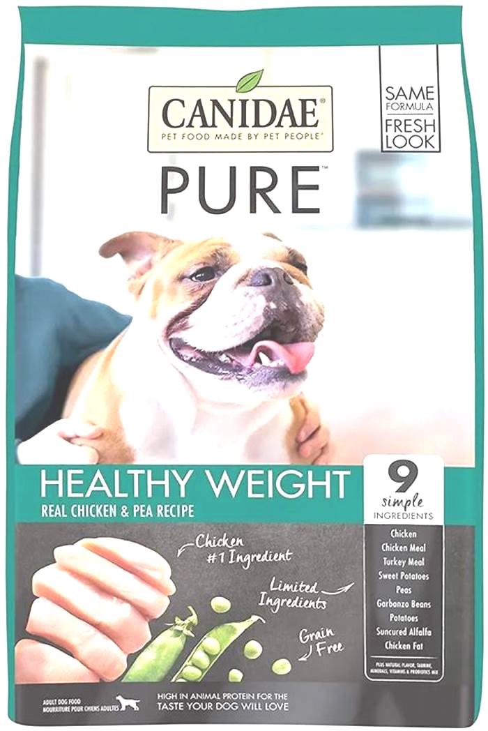 best dog food for allergies english bulldogs