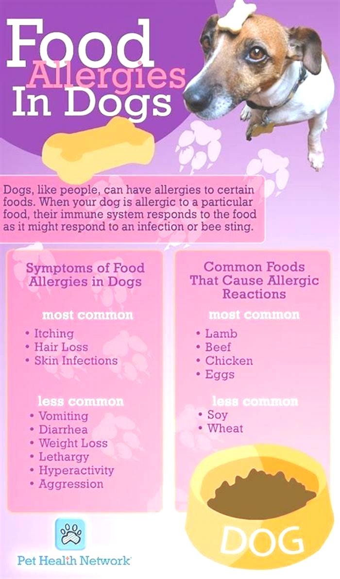 best dog food for dogs that have skin allergies