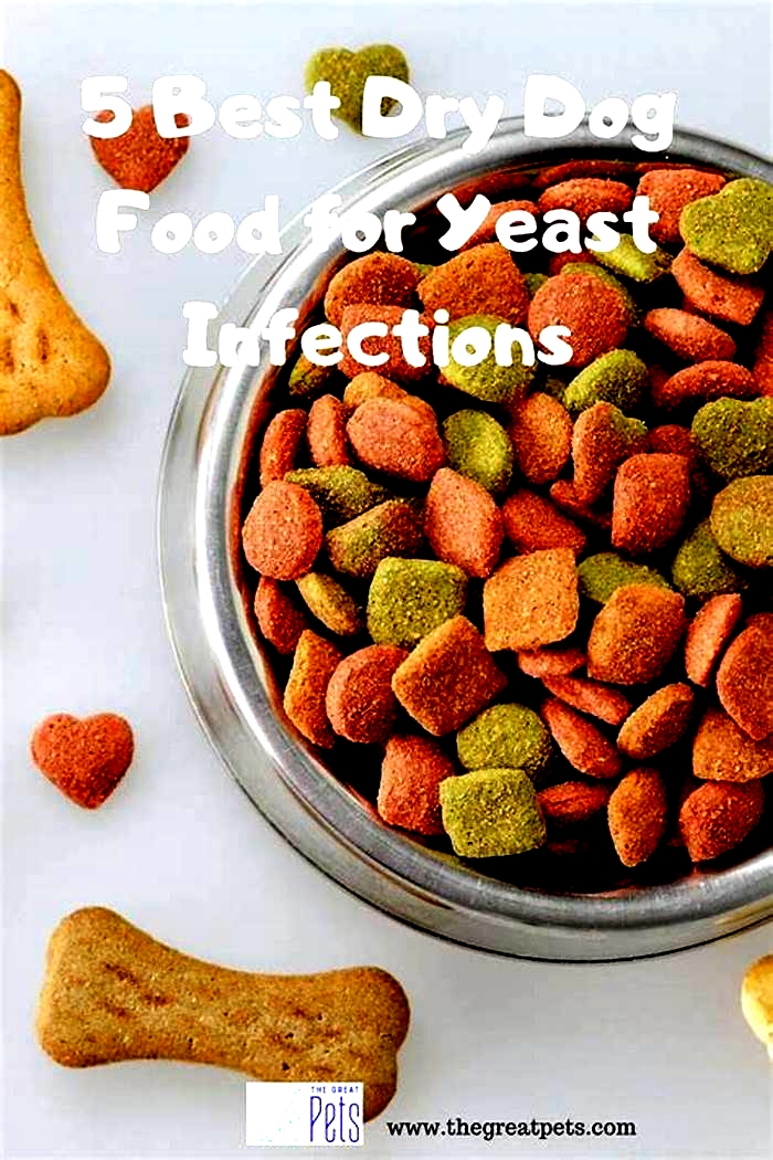 best dog food for dogs with allergies and yeast