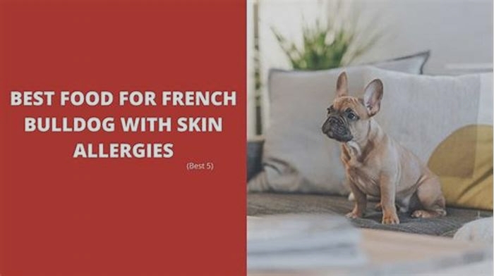 best dog food for french bulldog with skin allergies