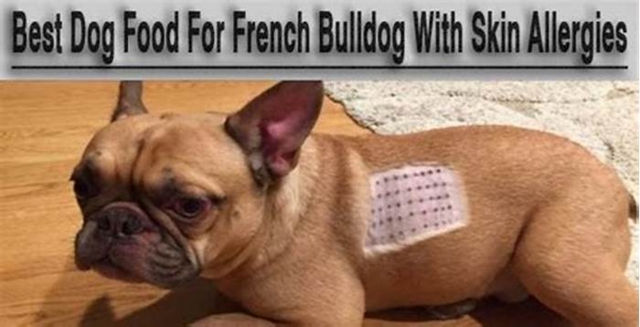 best dog food for french bulldogs with allergies