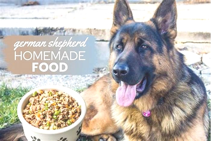 best dog food for german shepherd with allergies