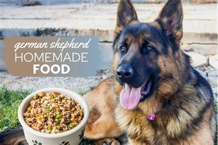 best dog food for german shepherd with skin allergies