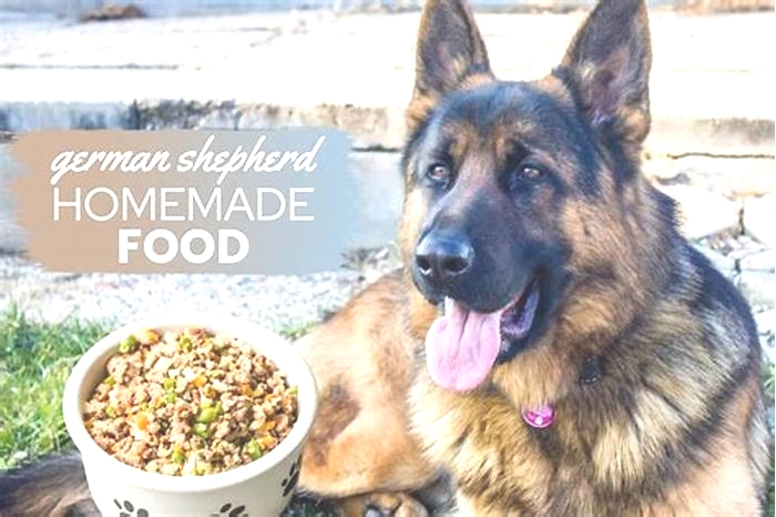 best dog food for german shepherds with allergies