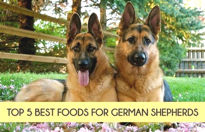 best dog food for german shepherds with hip dysplasia