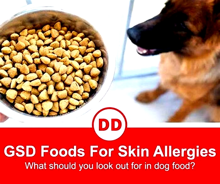 best dog food for german shepherds with itchy skin