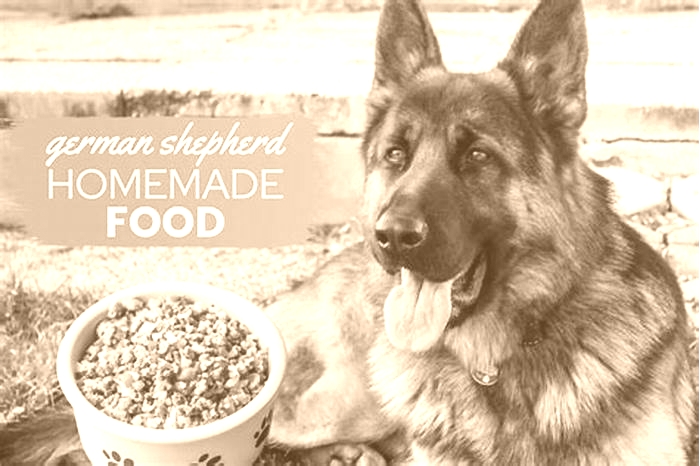 best dog food for german shepherds with skin allergies