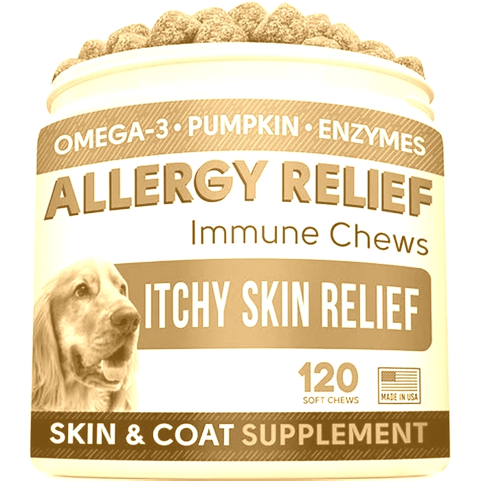 best dog food for itchy skin and paws