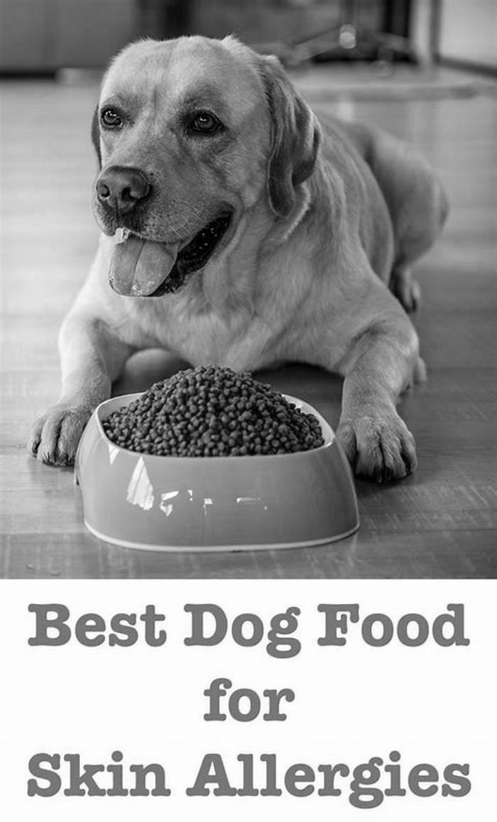 best dog food for labs with allergies