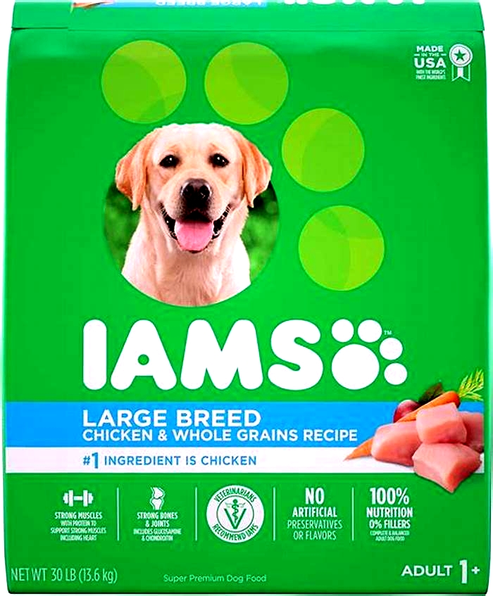 best dog food for labs with skin allergies