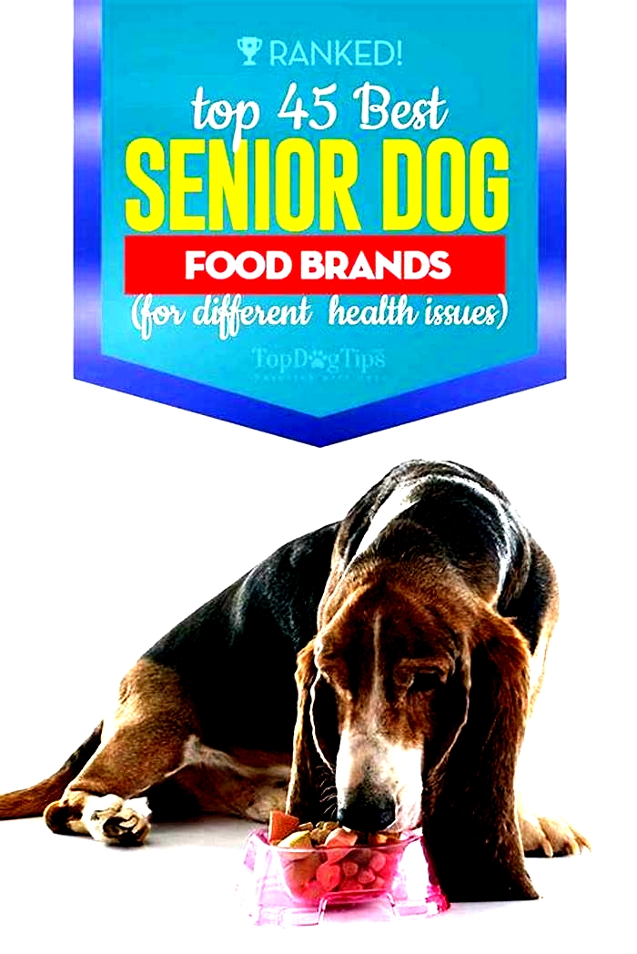 best dog food for older dogs to gain weight