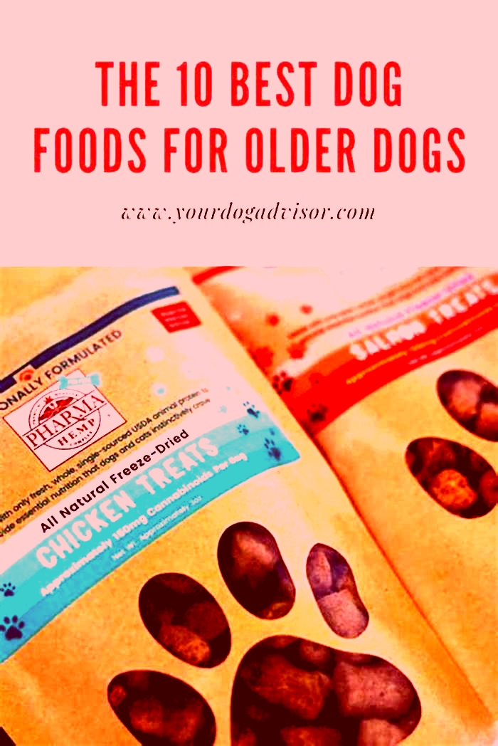 best dog food for older finicky dogs