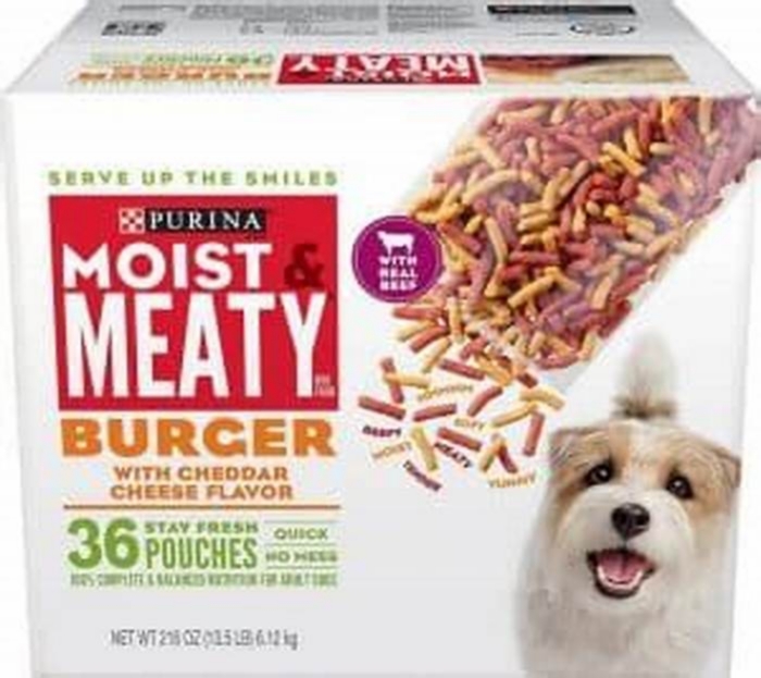 best dog food for older small dogs with no teeth