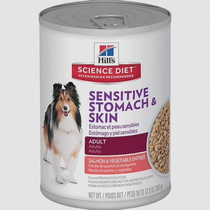 best dog food for senior dog sensitive stomach