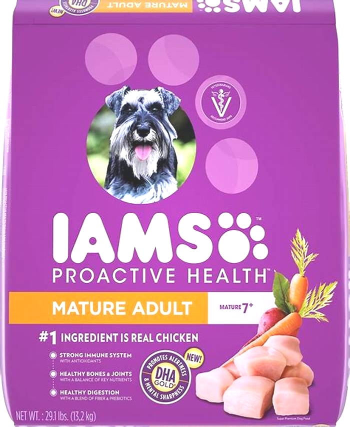 best dog food for senior dog with enlarged heart