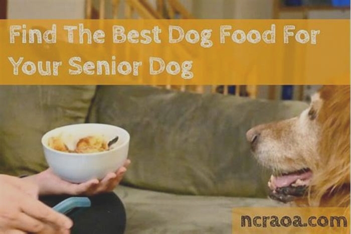 best dog food for senior dogs 2023