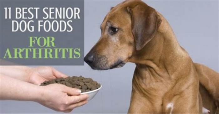 best dog food for senior dogs with arthritis