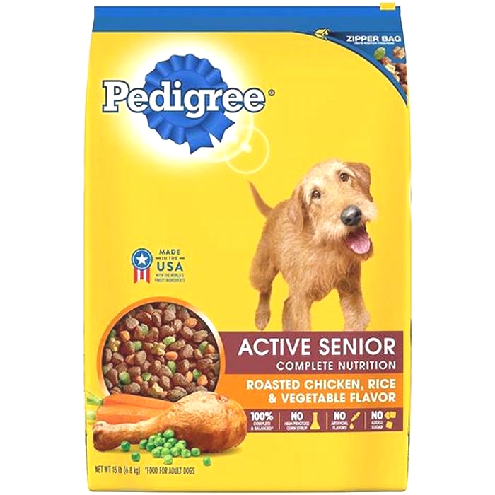 best dog food for senior dogs with dental problems