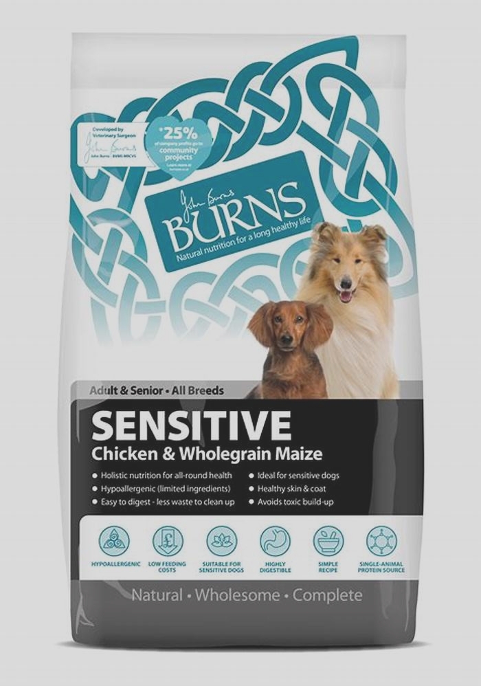 best dog food for senior dogs with sensitive skin