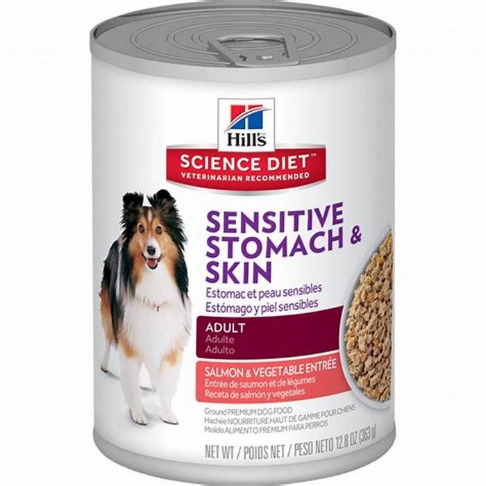 best dog food for senior dogs with sensitive stomach