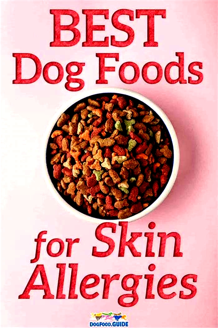 best dog food for skin allergies and yeast infections