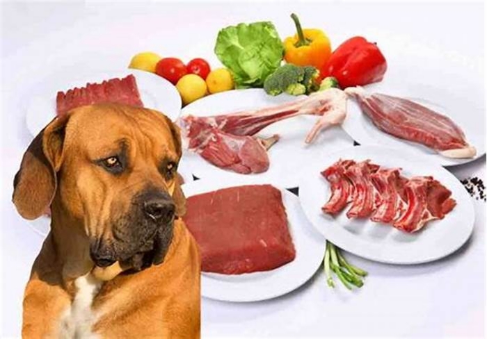 best dog food for south african boerboel