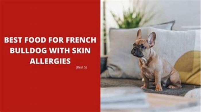 best dry dog food for french bulldog with skin allergies