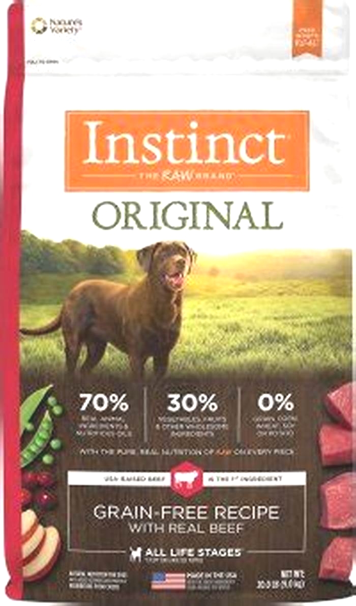 best dry dog food for older dogs uk