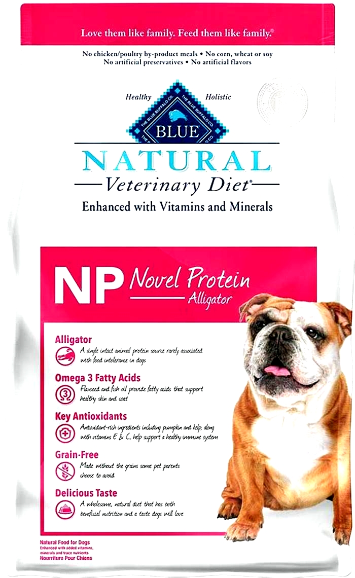 best dry dog food itchy skin