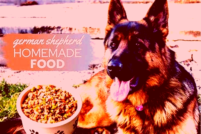 best food for german shepherd with allergies