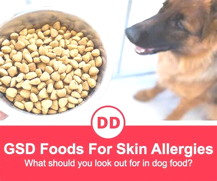 best food for german shepherds with allergies