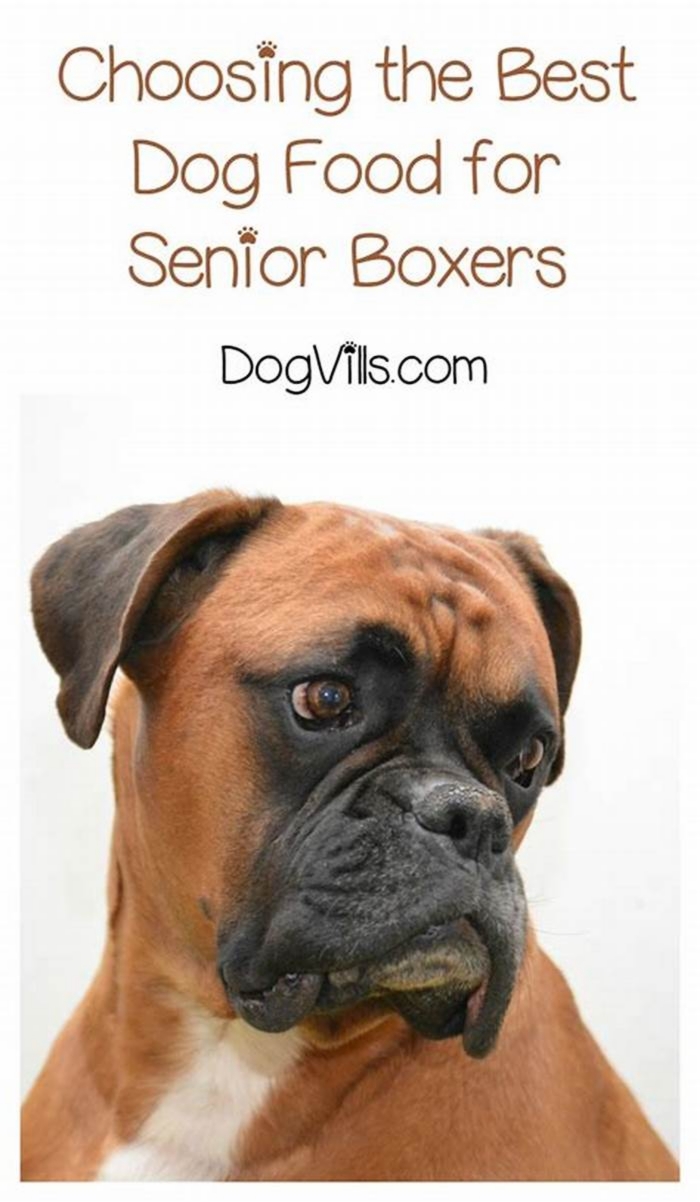 best food for senior boxer dog