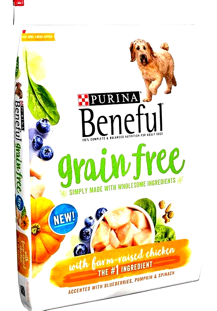 best grain free dog food for itchy skin