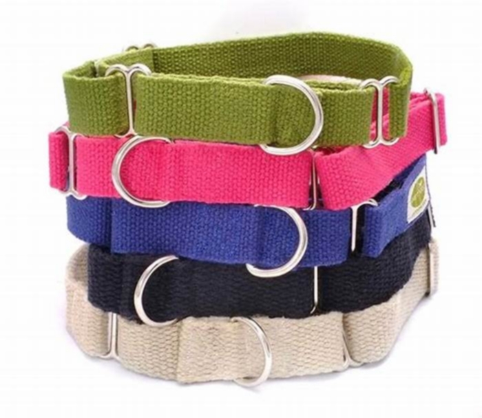 best hypoallergenic dog collar