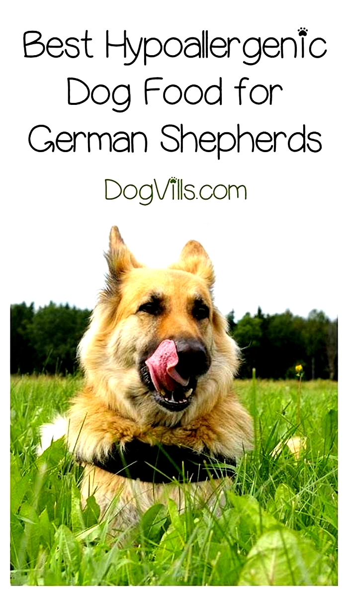 best hypoallergenic dog food for german shepherds