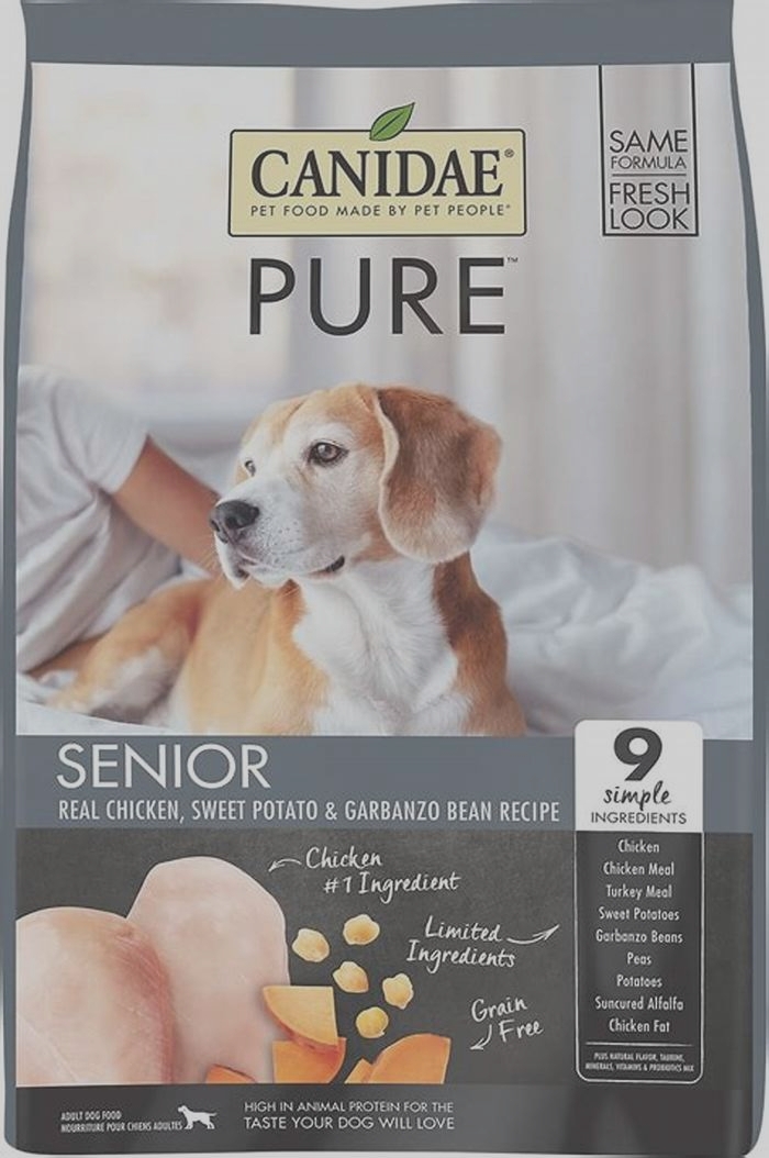 best hypoallergenic dog food for senior dogs