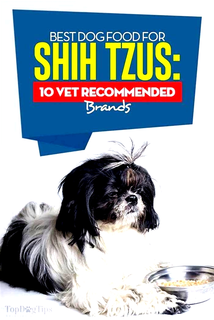 best hypoallergenic dog food for shih tzu