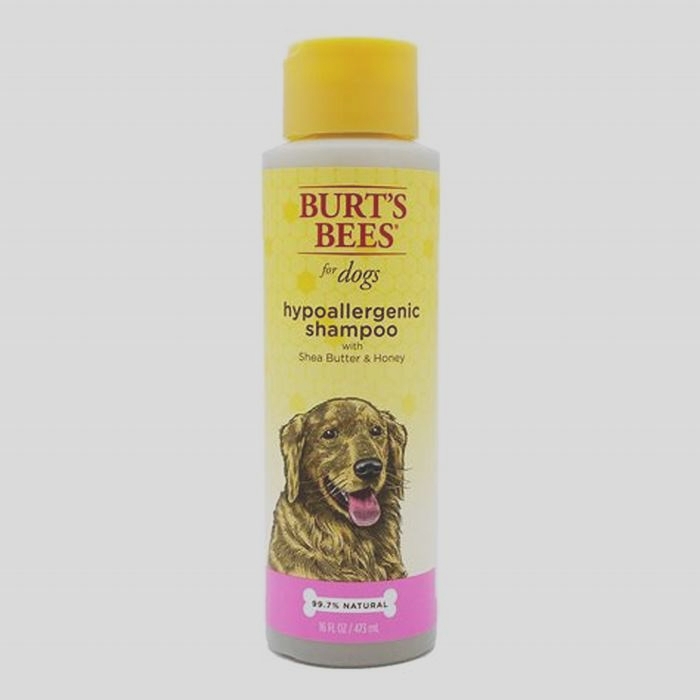 best hypoallergenic dog shampoo uk