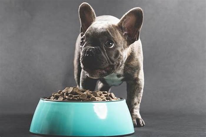 best hypoallergenic food for french bulldogs